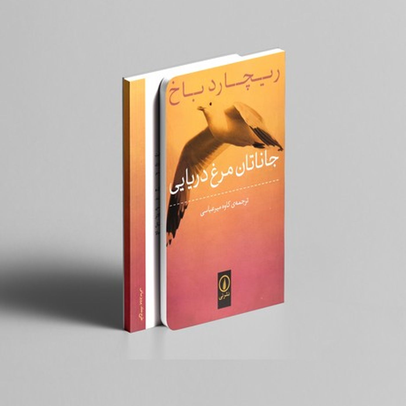 کتاب جاناتان مرغ دریایی.قسمت سوم