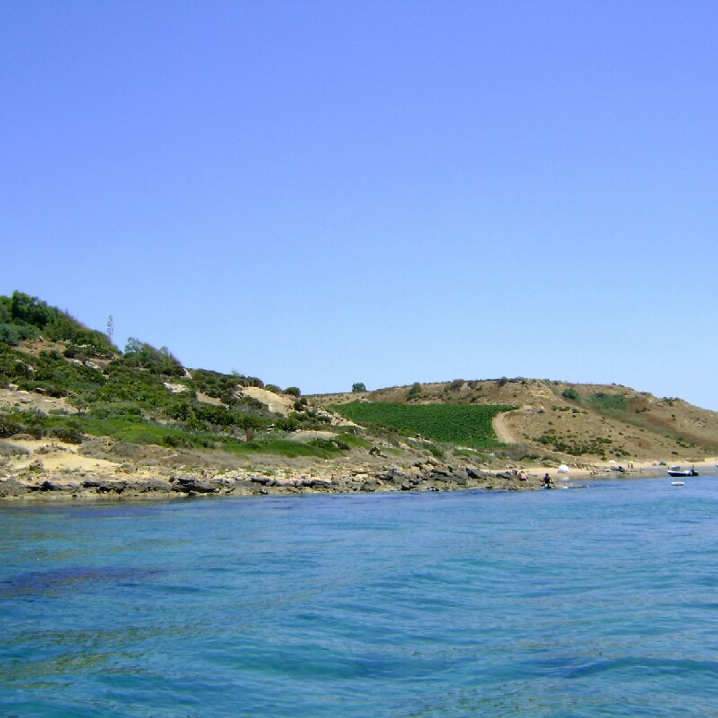 Menfi