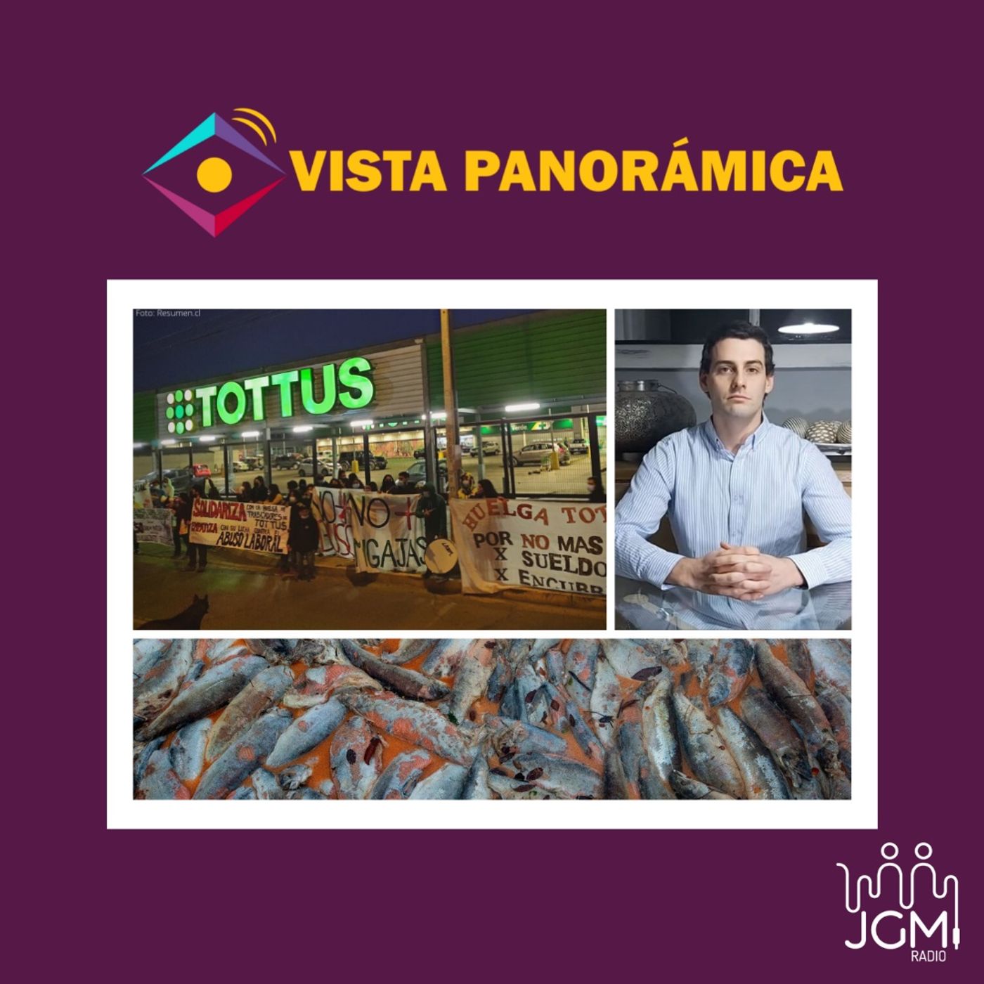 Vista Panorámica