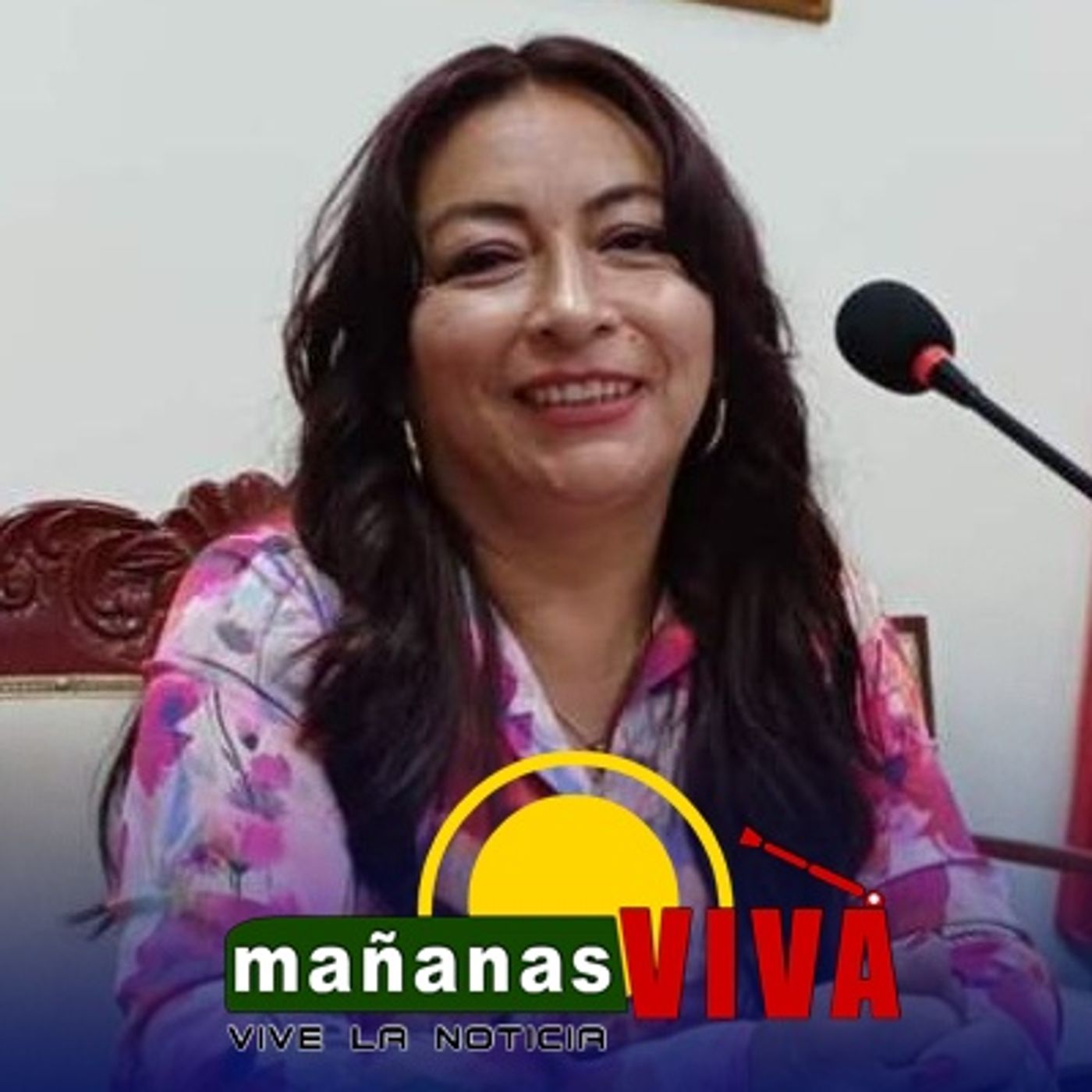 Concejal de Ipiales Liliana Patiño - Proyecto Cielos en Calma para eliminar contaminación auditiva