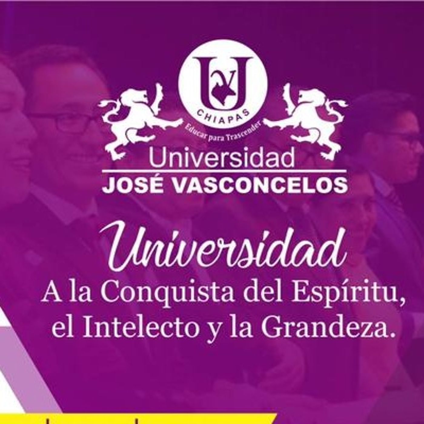 Modelos para el diseño curricular