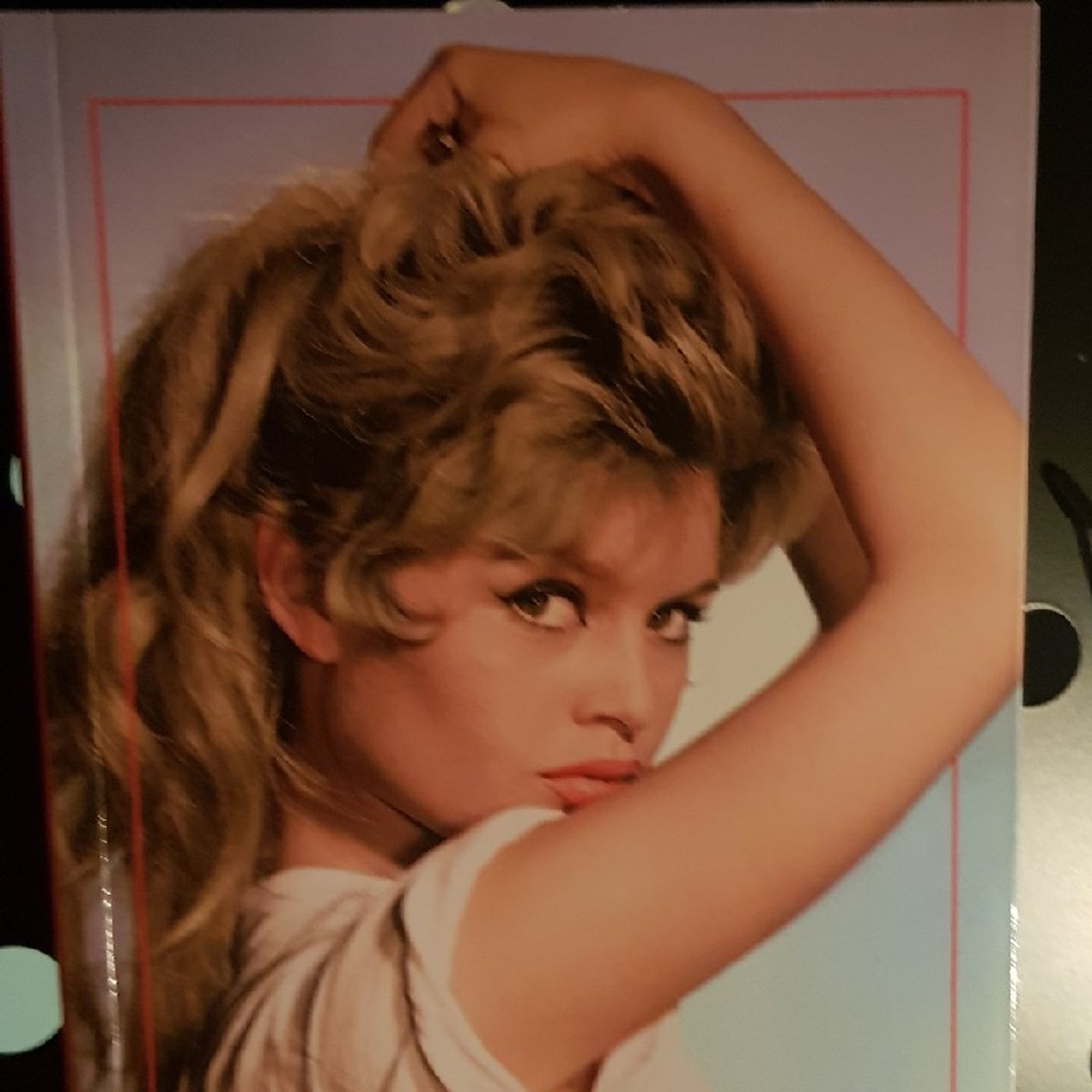 Icone : Brigitte Bardot  - BB