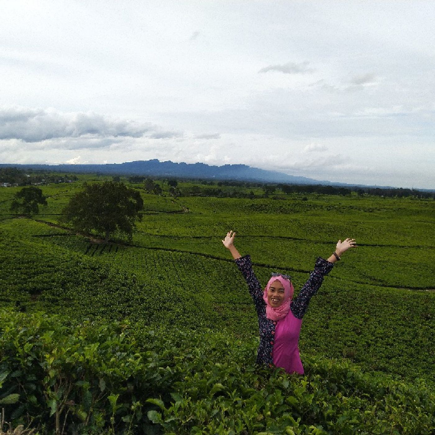 Dunia Kelas 3 SD