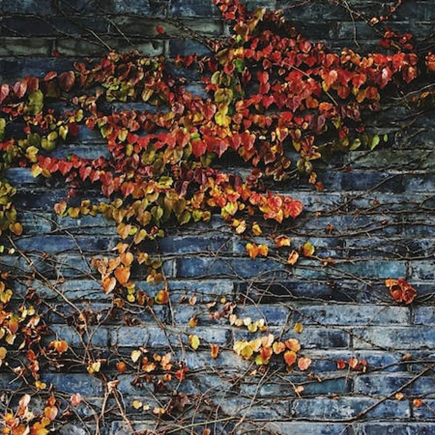 Does God Ever Soften a Heart He Has Hardened?