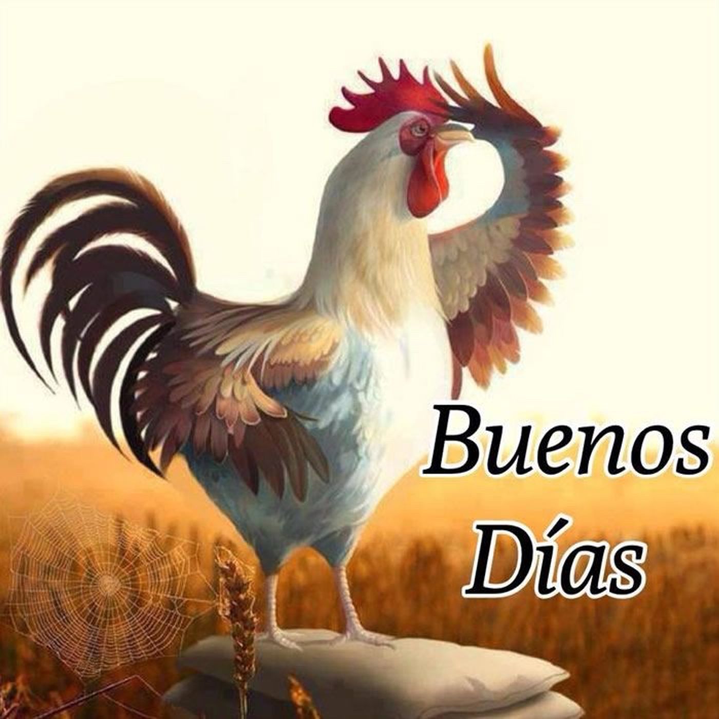 El famoso chileno episode artwork