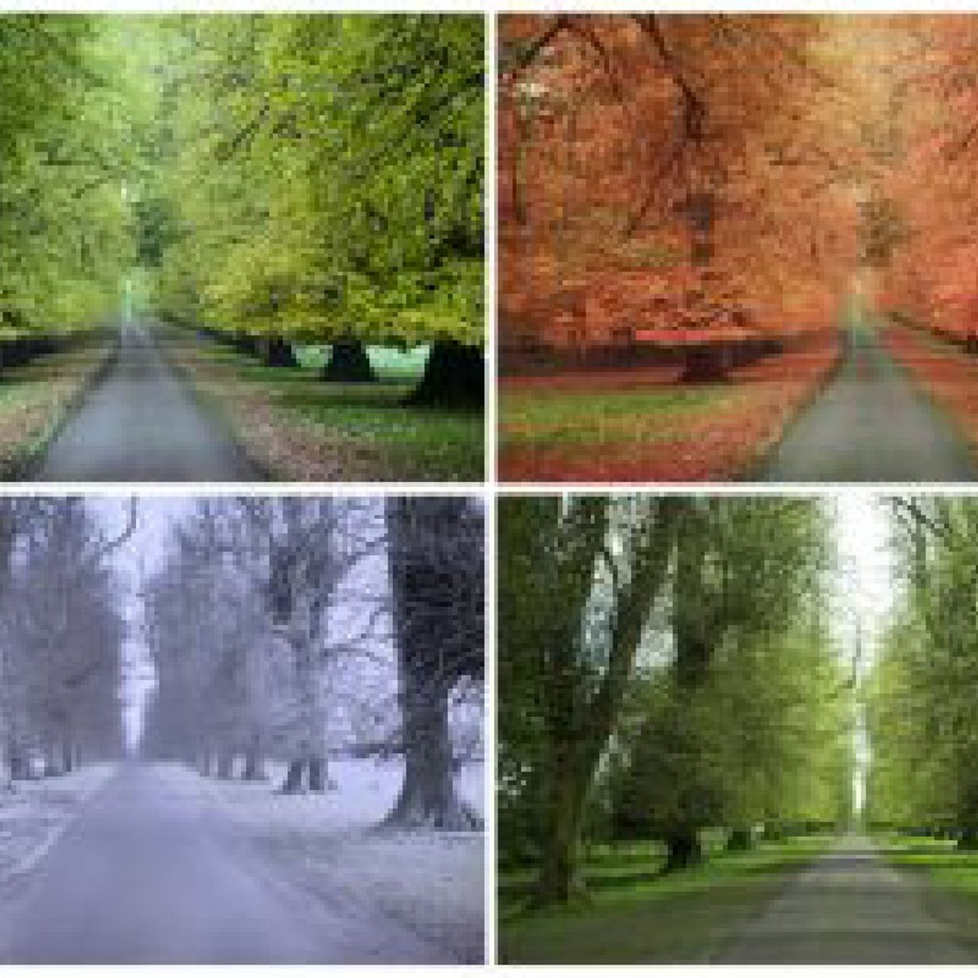 Seasons: A Biblical Perspective