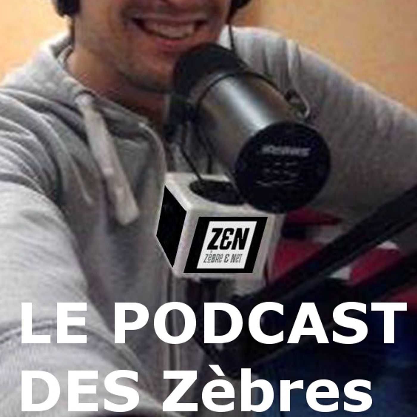 Lionel Estan-zebreetnet.fr show