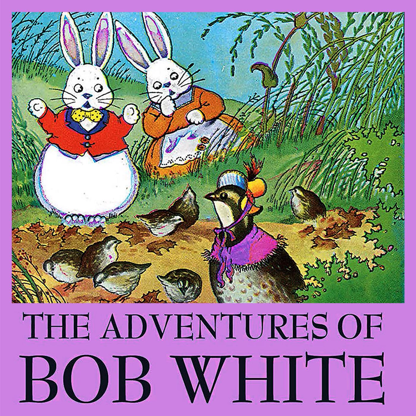 The Adventures of Bob White