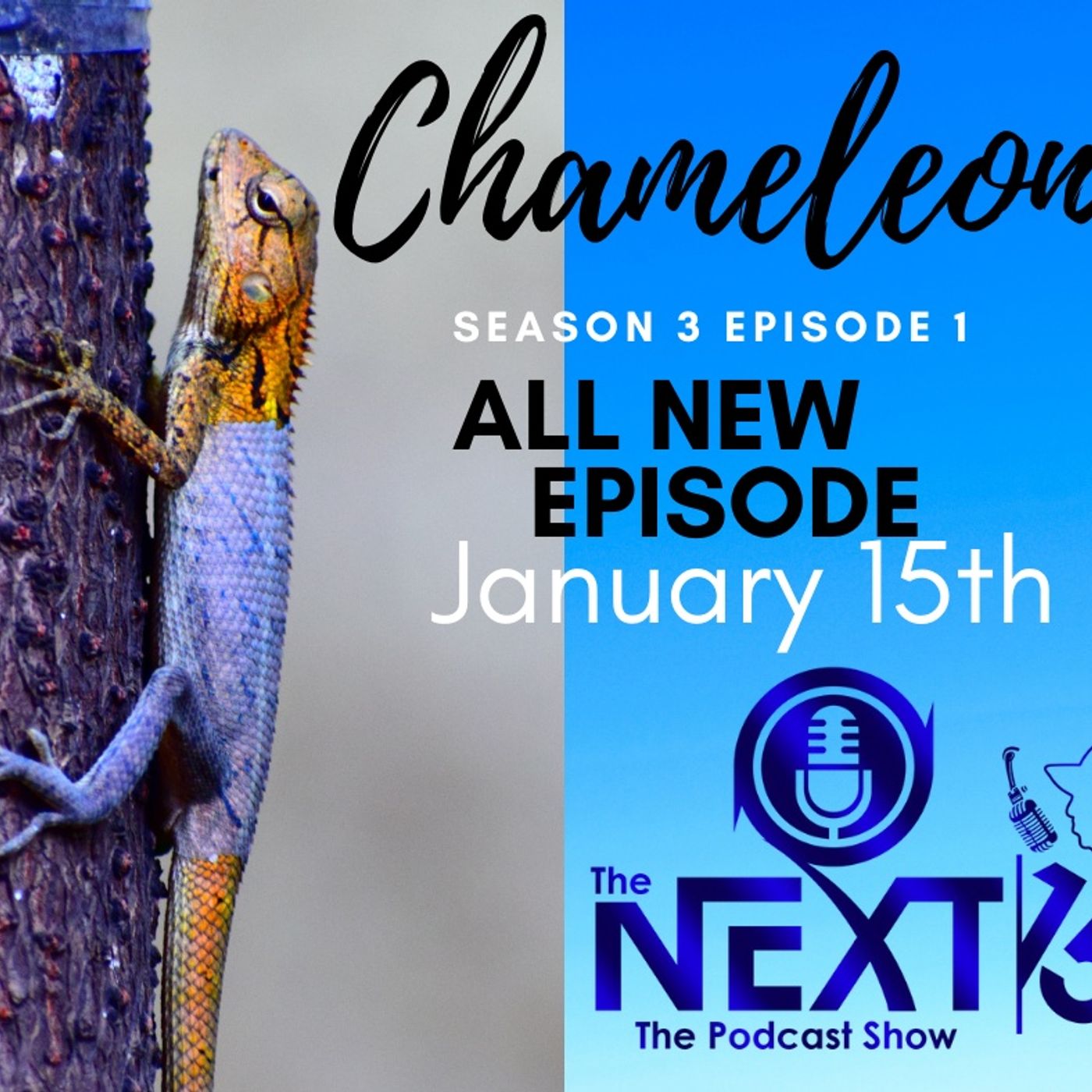 Chameleon episode artwork