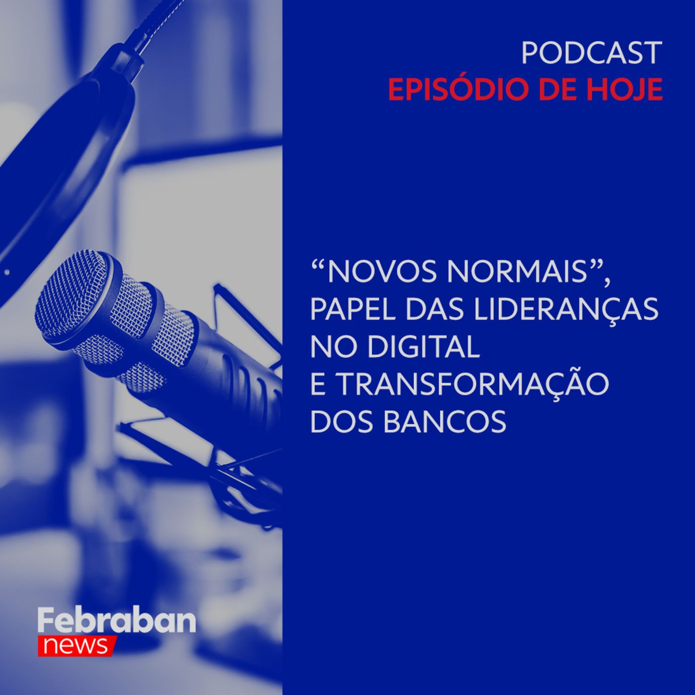 Entrevista Silvio Meira - "Novos Normais" papel das lideranças no digital e transformação nos bancos episode artwork