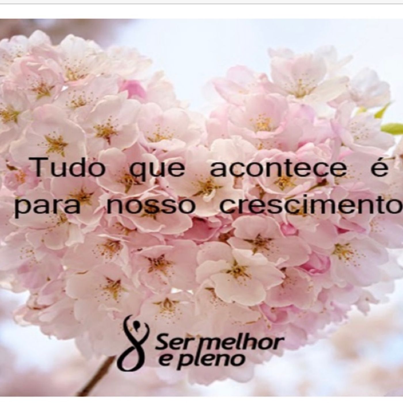marina mousinho\'s show
