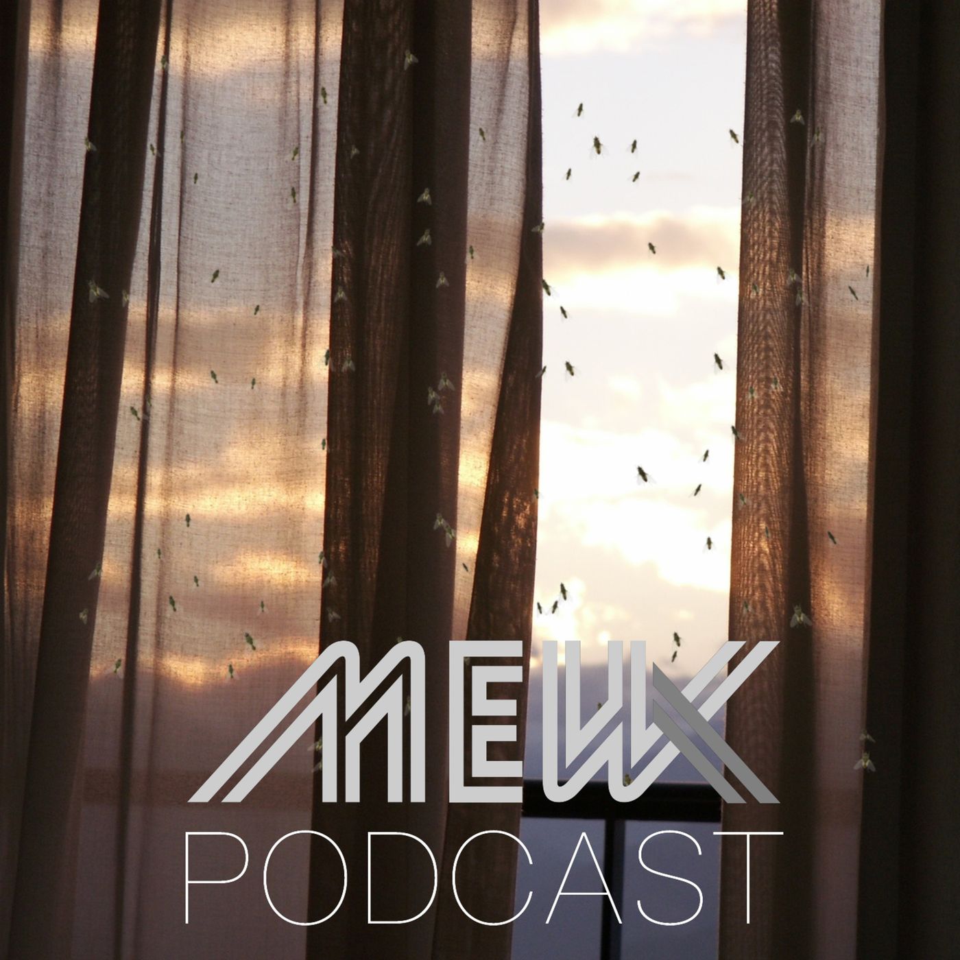 The MewX Podcast