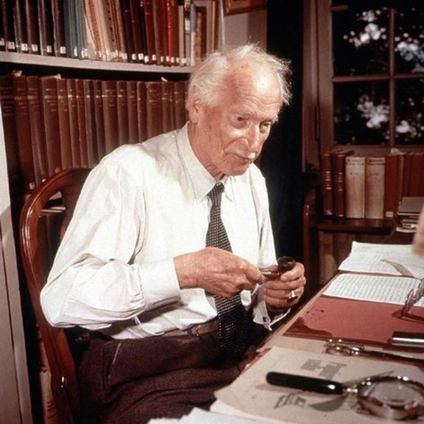 Carl jung theory Episode 5(shadow and self)