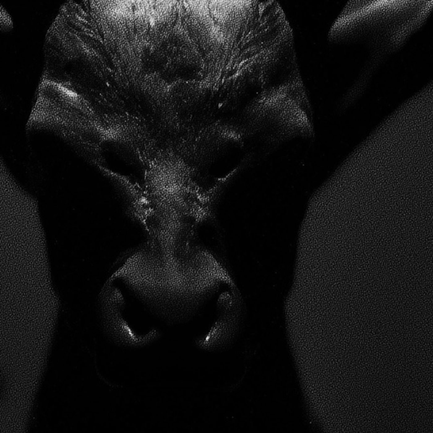 NAHUAL En San Ignacio de las Rocas Historias De Terror - REDE