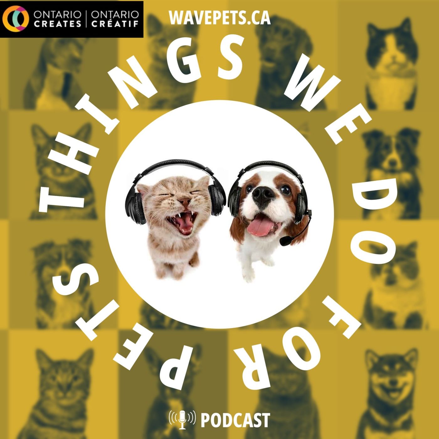 Things We Do For Pets