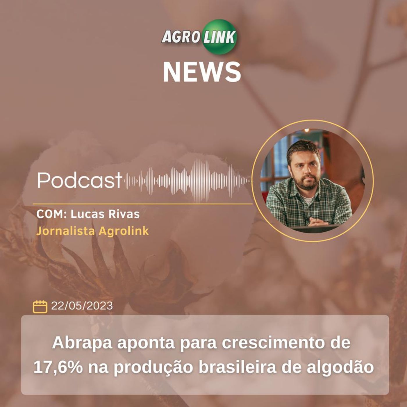 Brasil e Chile fecham acordo para facilitar exportações de carne episode artwork