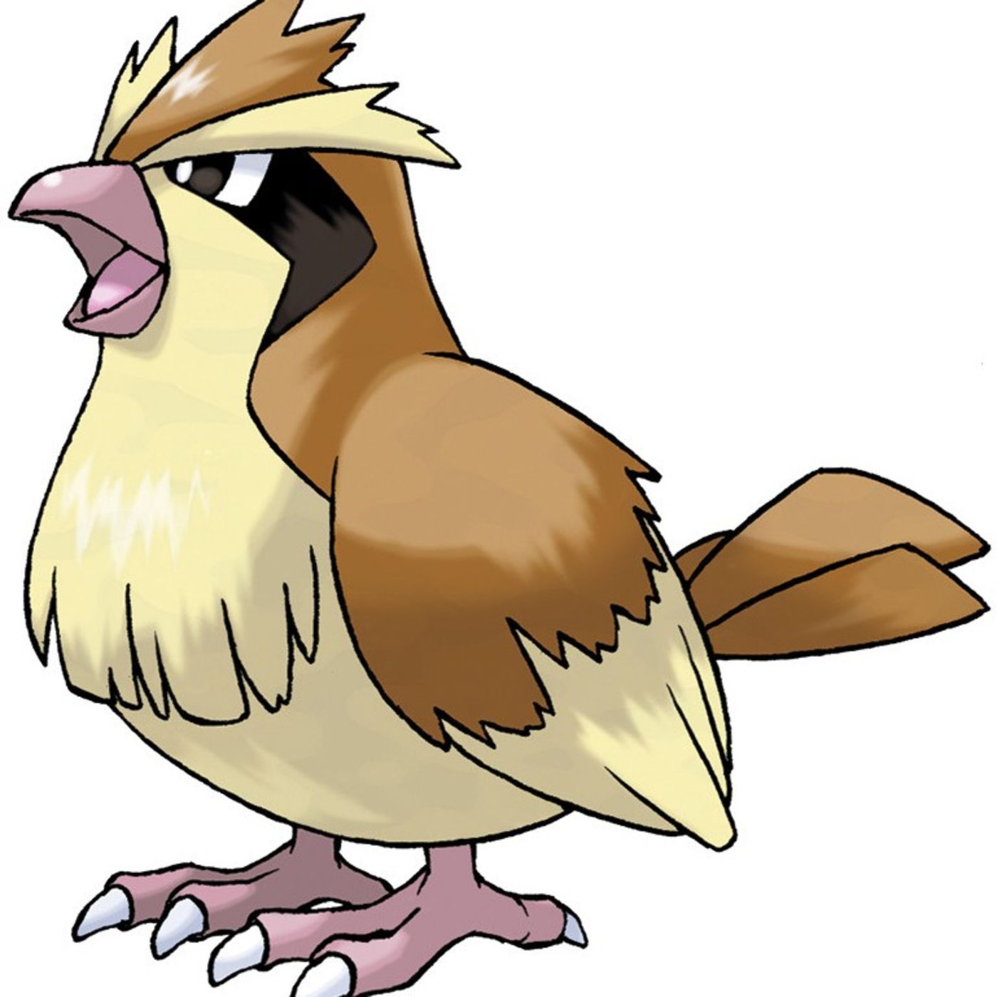 #016 Pidgey