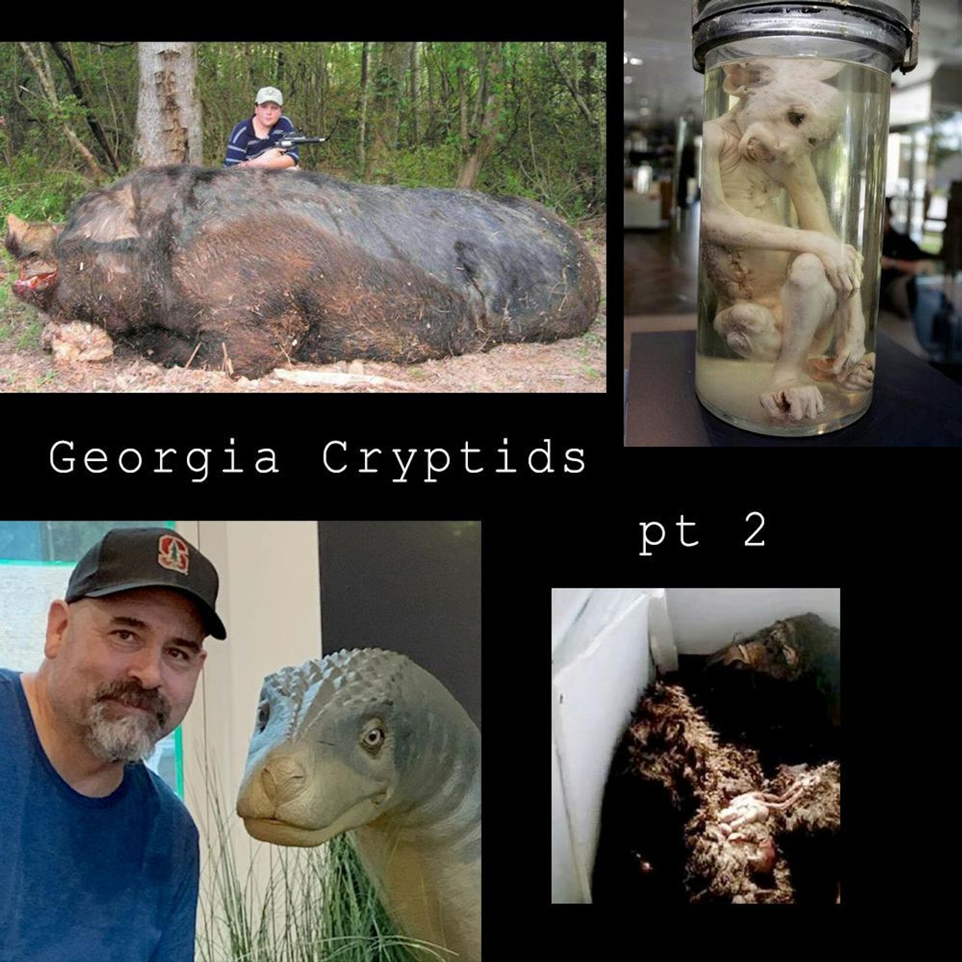 310 - S02E49 - Georgia Cryptids Part 2