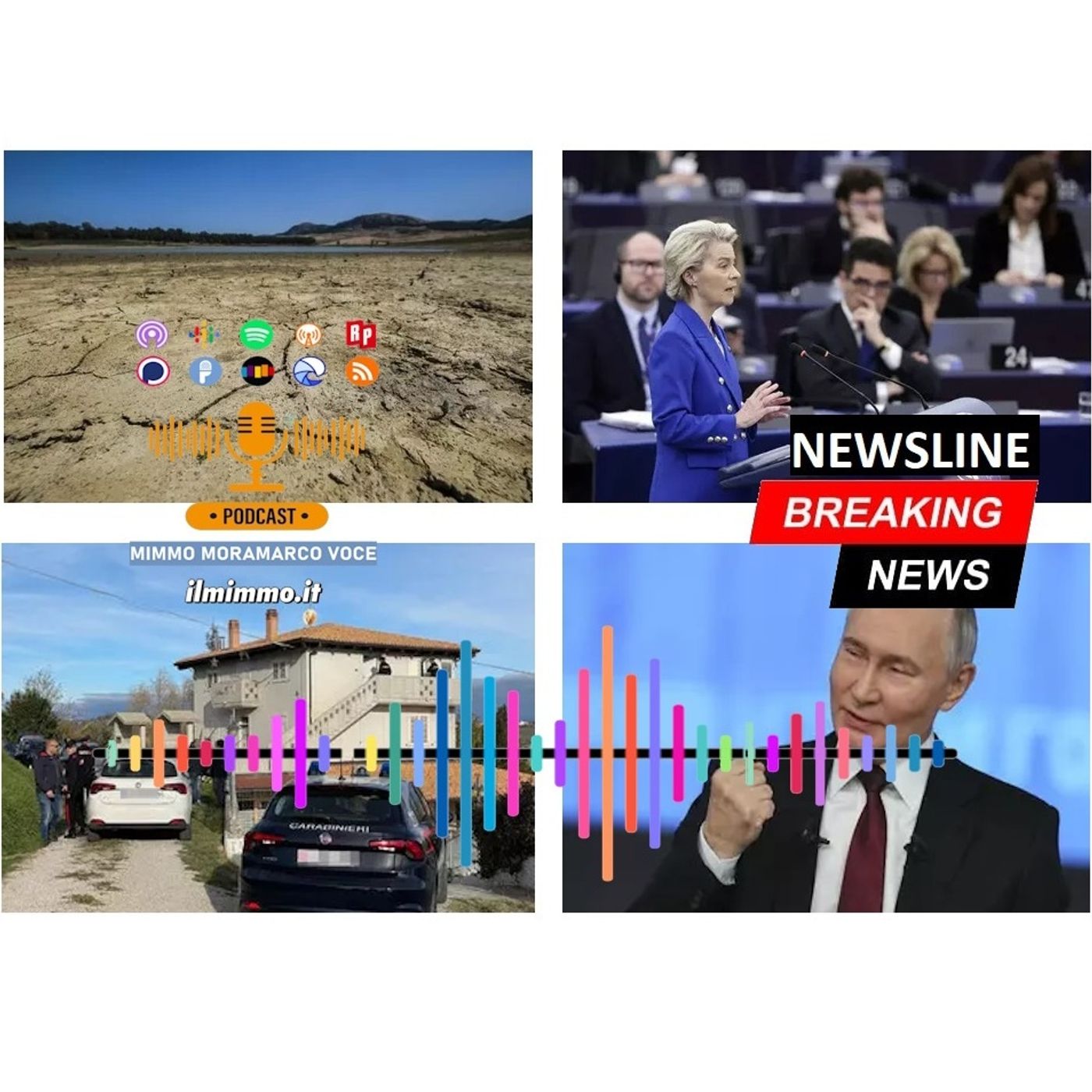 Newsline 1 del 19 dicembre 2024 episode artwork