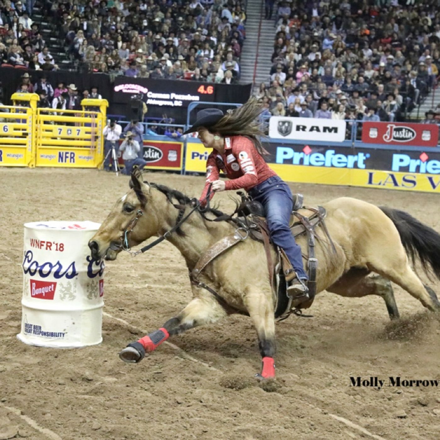 Carmon Pozzobon - PRCA & CRC Barrel Racer