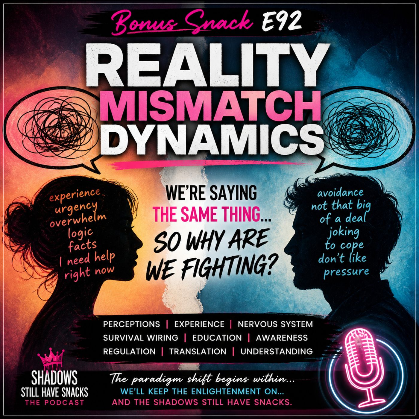 Bonus Snack E92: Reality Mismatch Dynamics: We’re Saying the Same Thing… So Why Are We Fighting? episode artwork