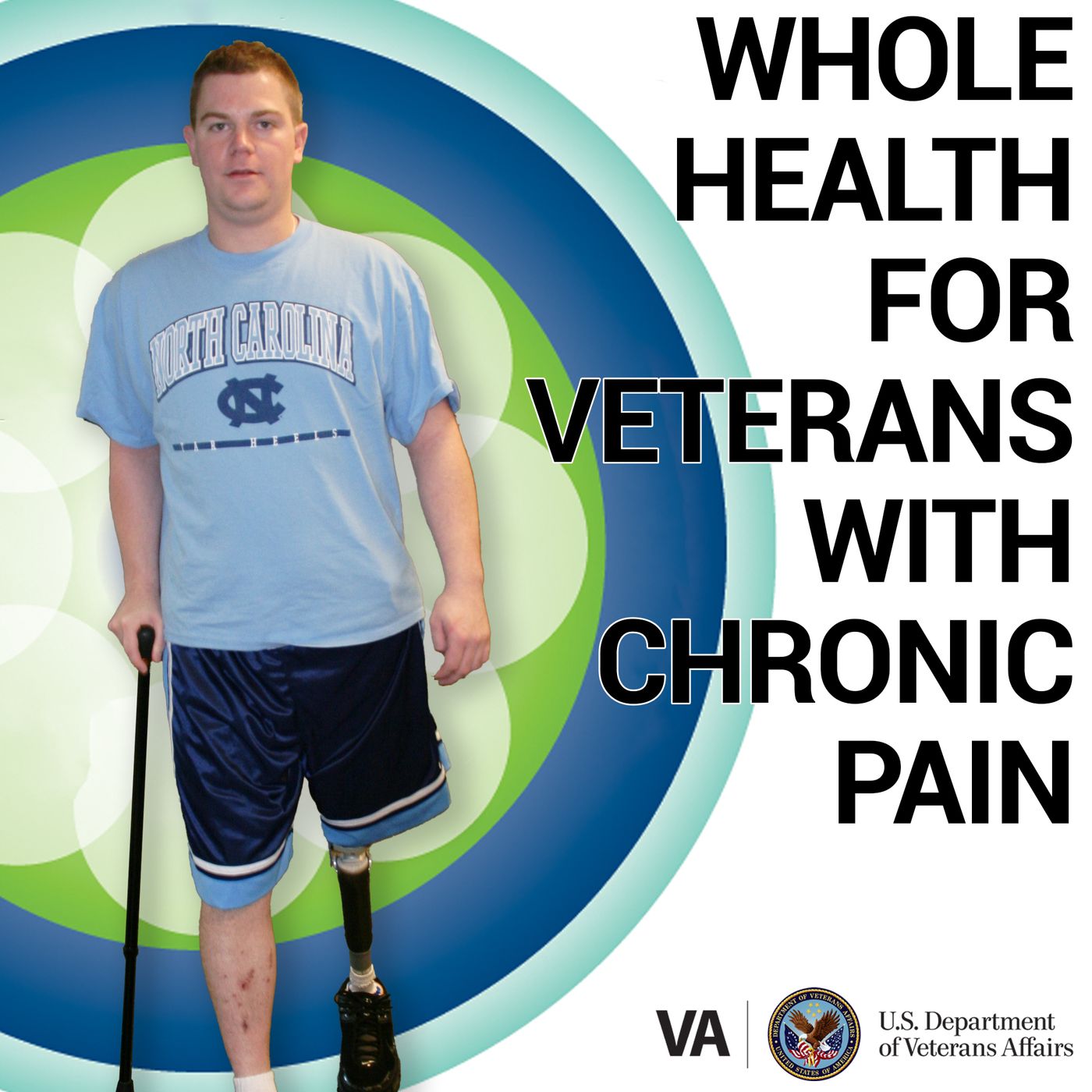Whole Health for Veterans with Chronic Pain cover art