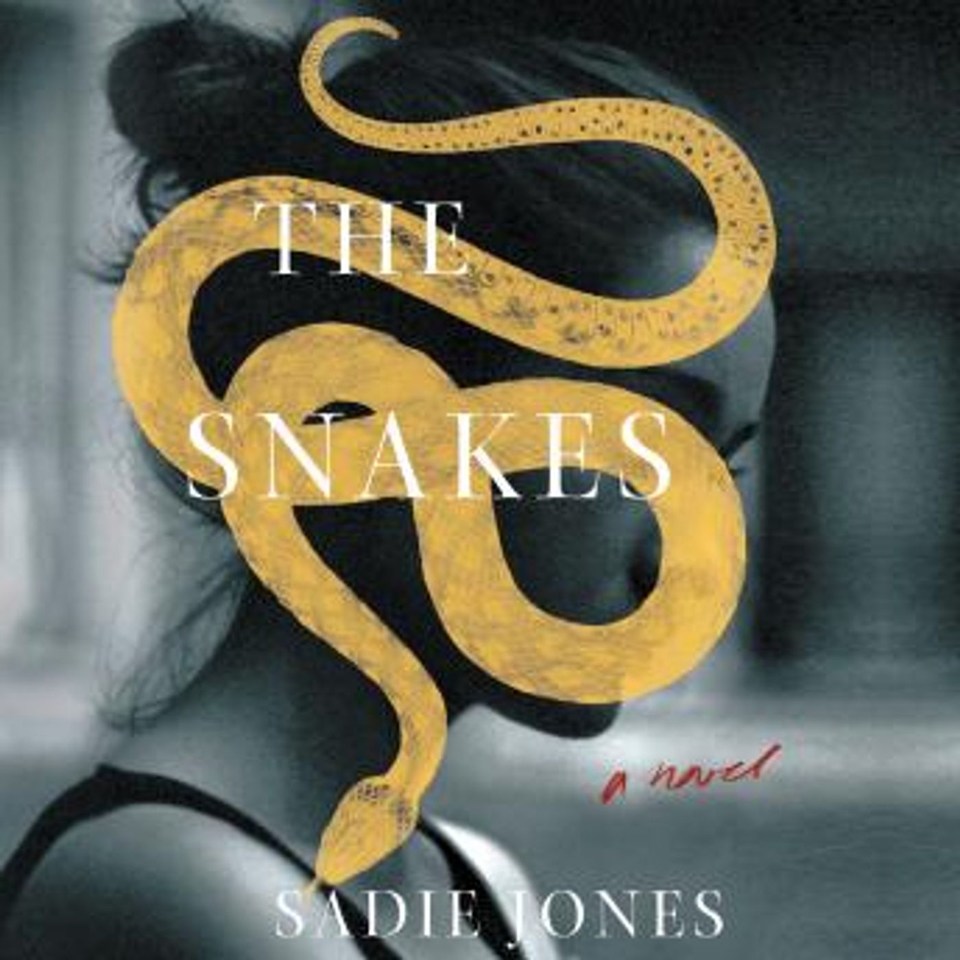 Discover Top Full Audiobooks in Fiction, Drama