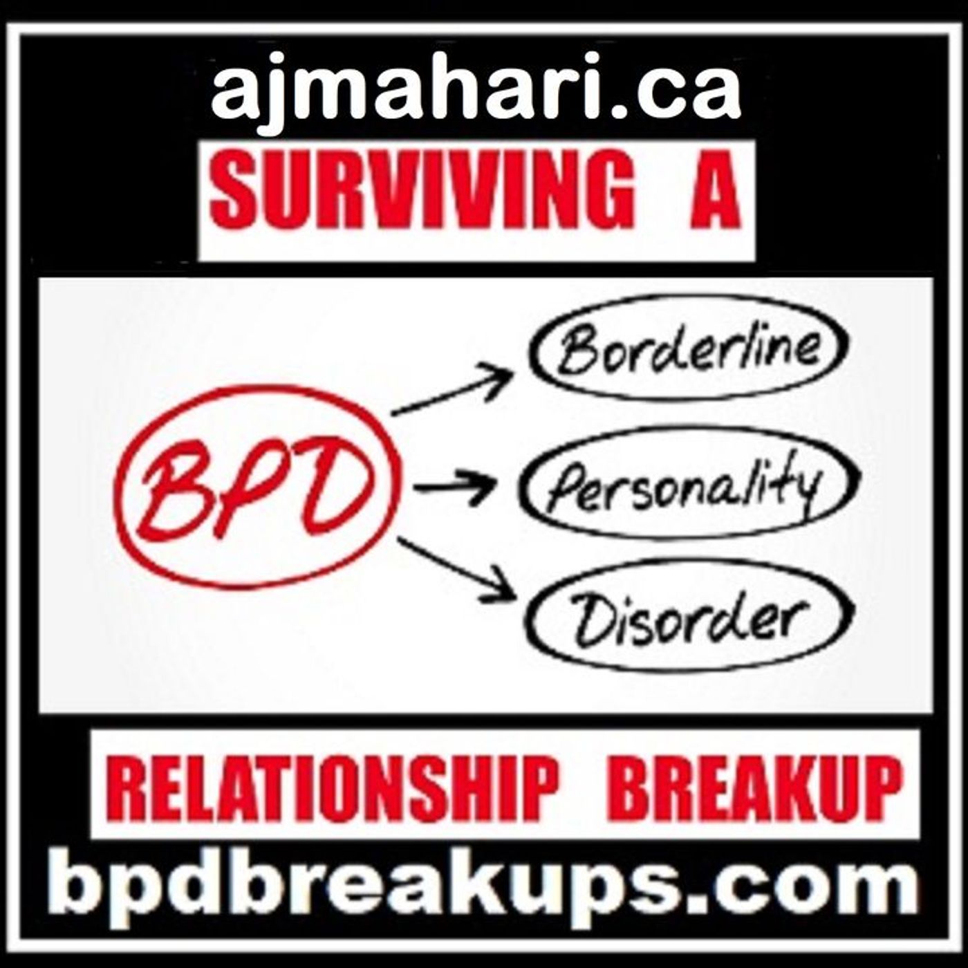 Petulant BPD Rage Uses You and The Why Insight of a Recovered Borderline