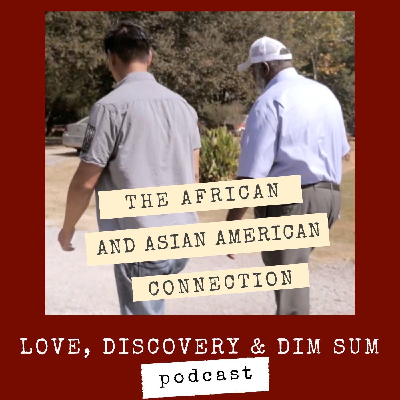 The African and Asian American Connection episode artwork