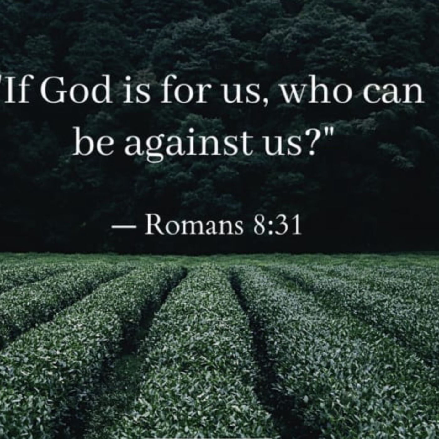Psalms chapter 37