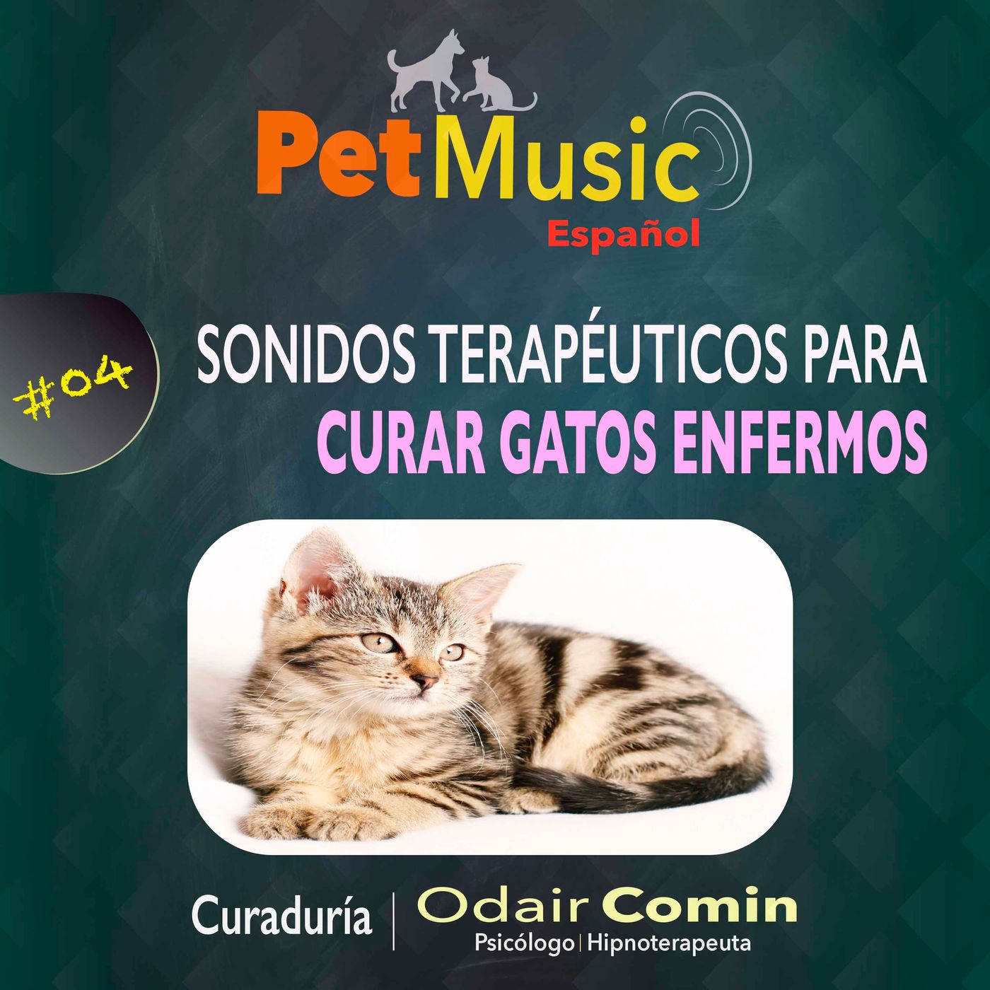 #04 Sonidos Terapéuticos para Curar Gatos Enfermos  | PetMusic