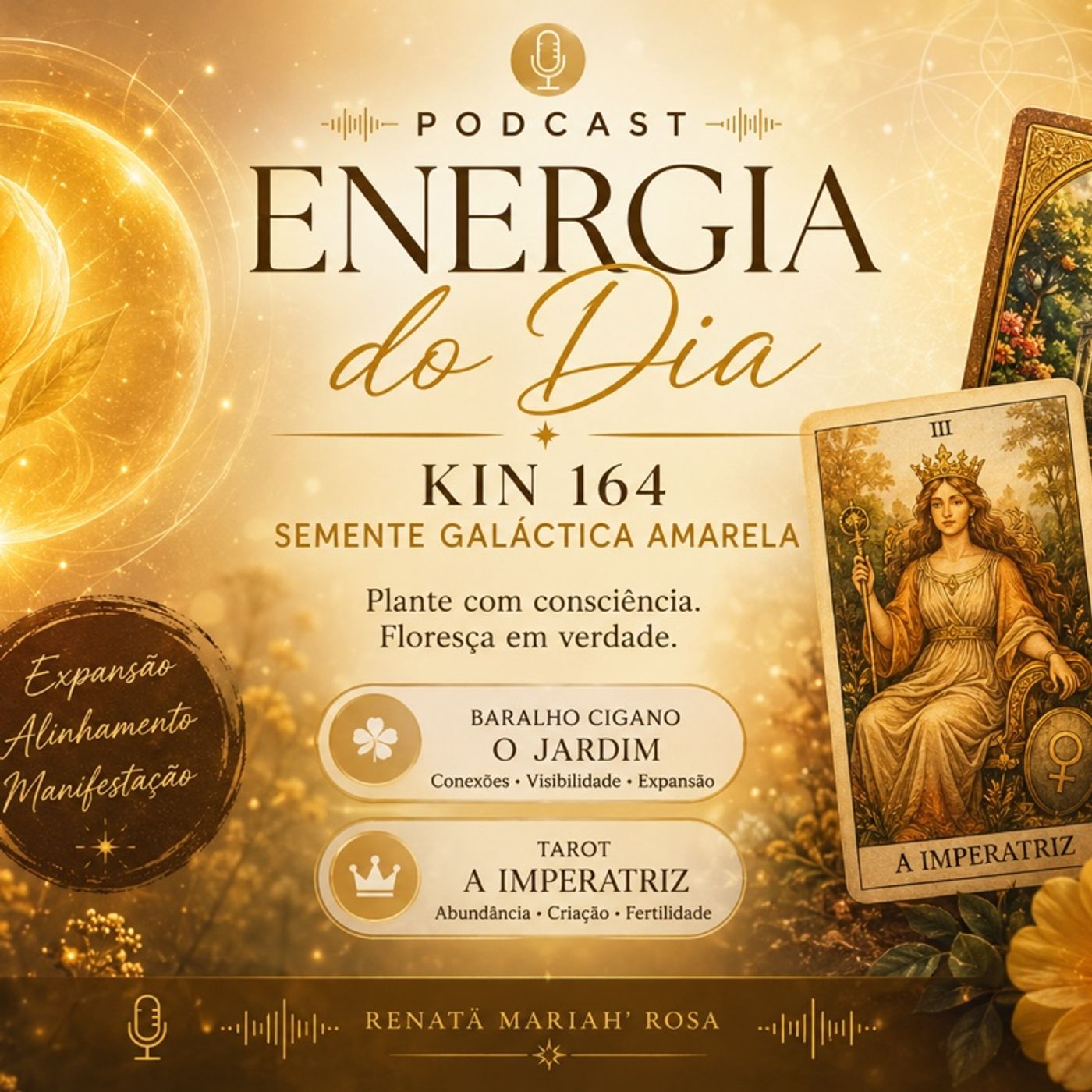 Energia do Dia | Kin 164 – Semente Galáctica Amarela episode artwork