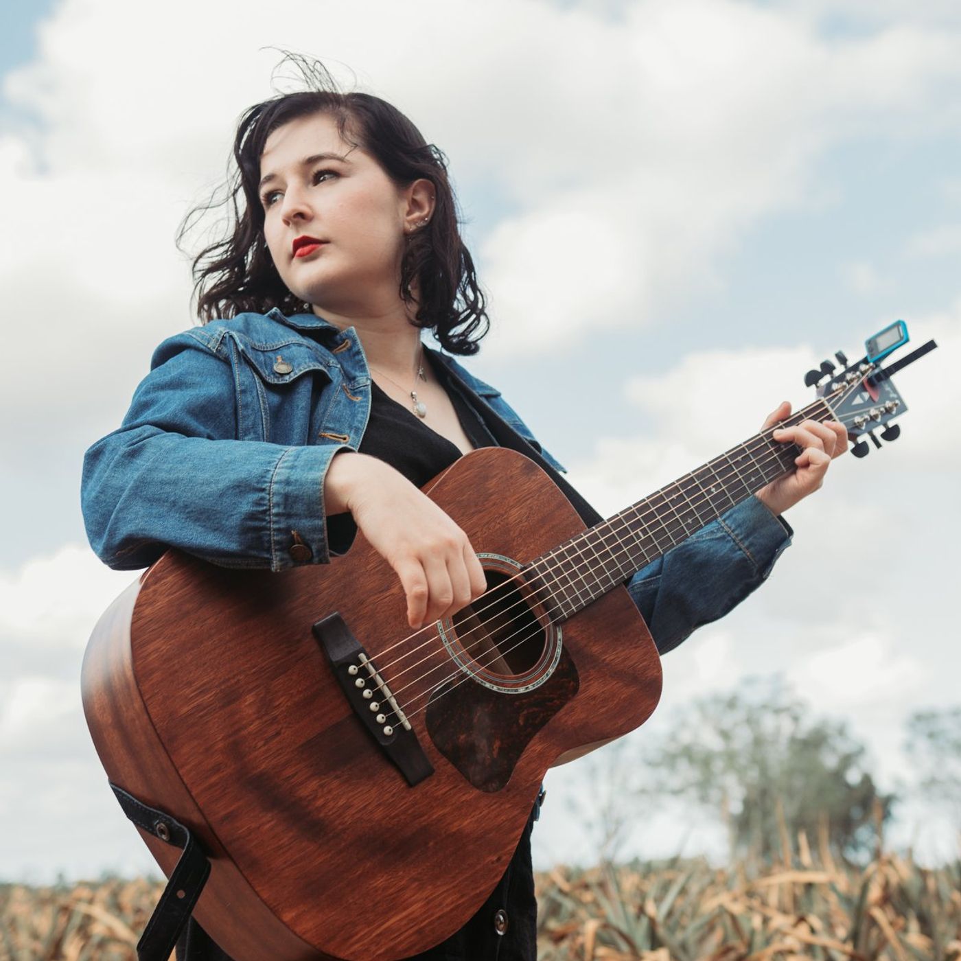 DARCY KATE - Songbird Interview episode artwork