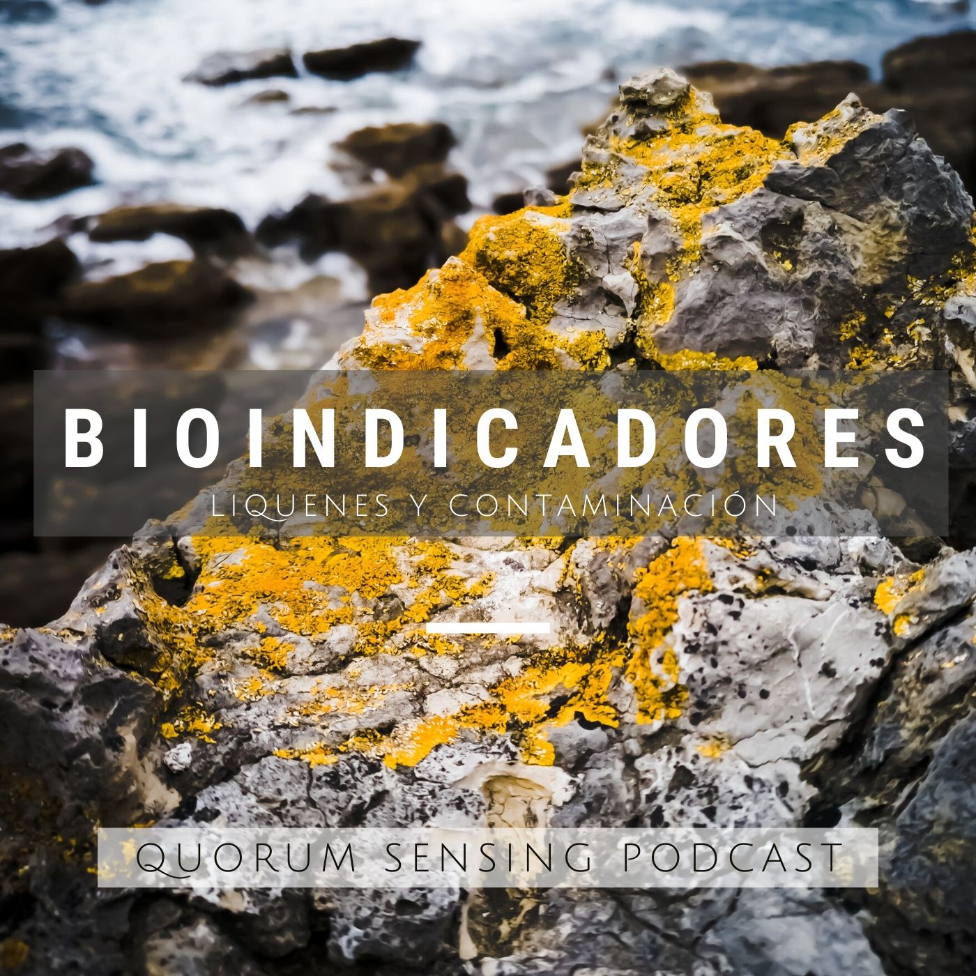 Percepciones