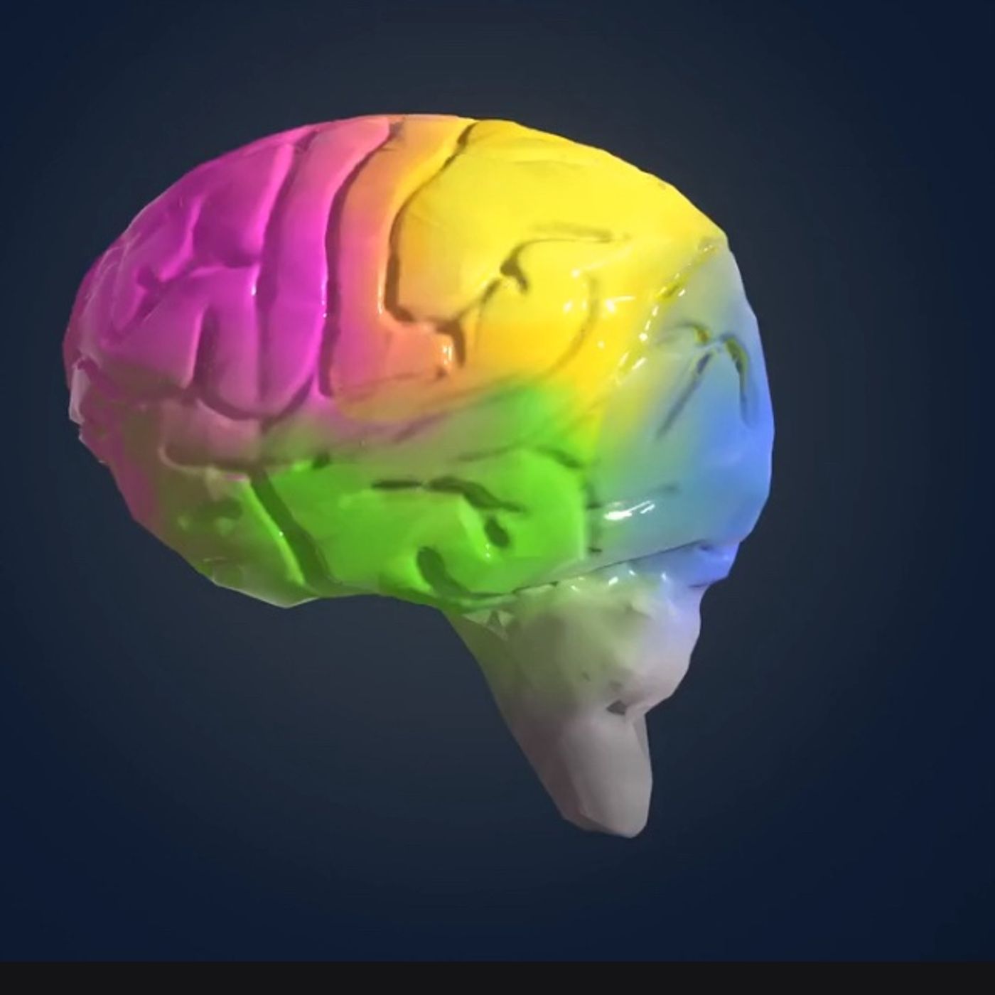 S64E8: Are We Only Using Less Than 5 Percent Of Our Overall Brain Capacity