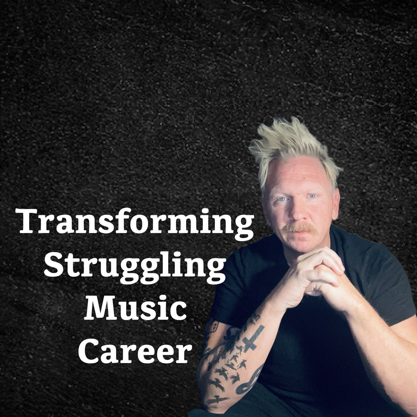 Transforming Struggling Music Career episode artwork