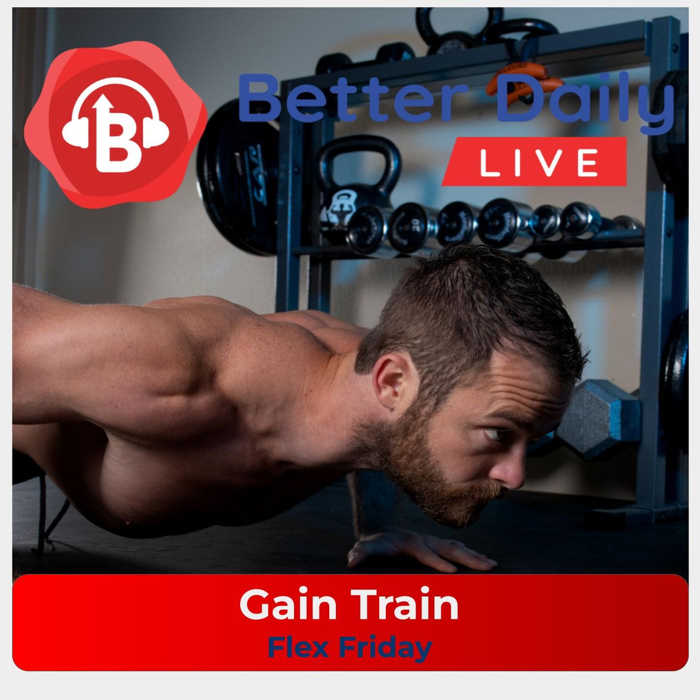 290 - Gain Train