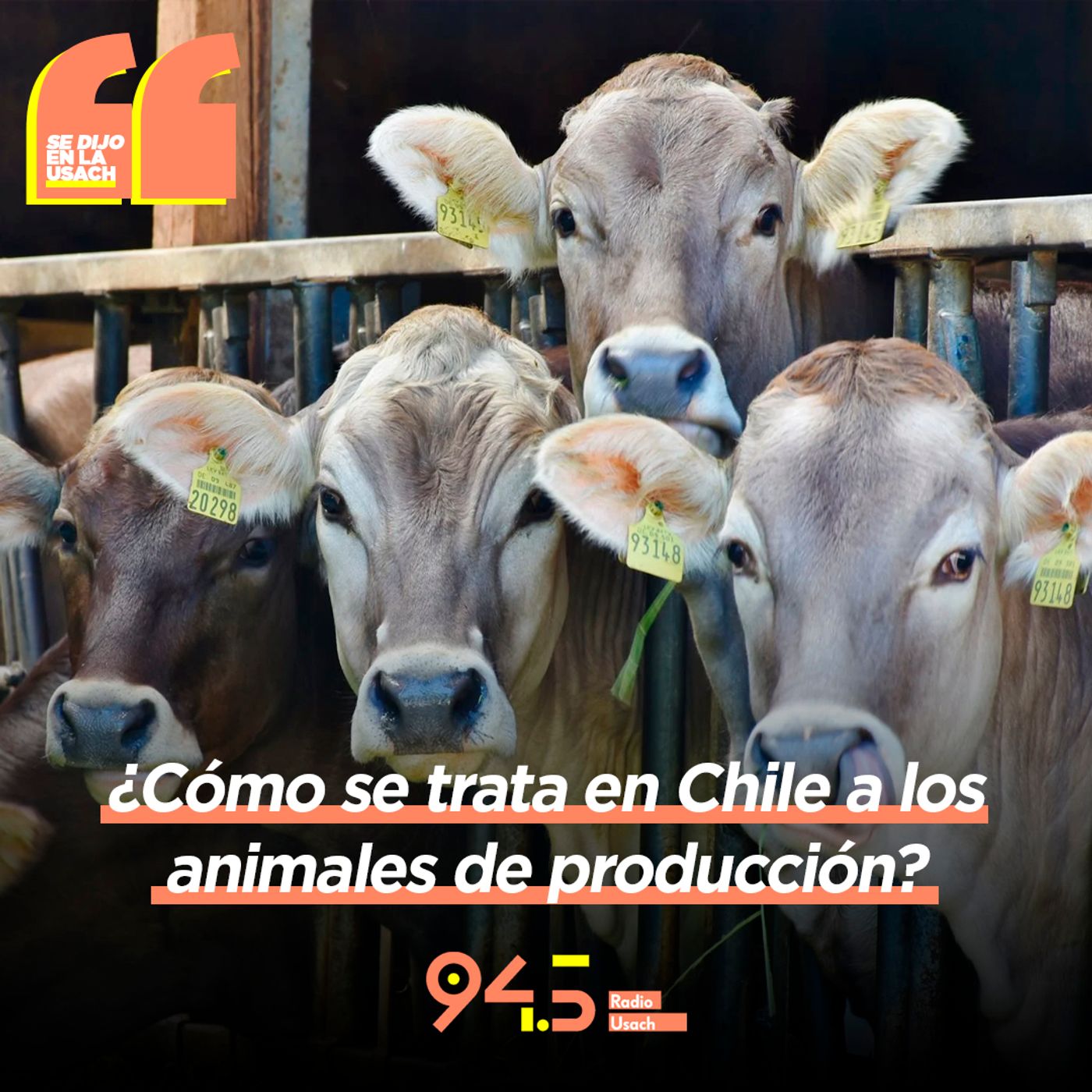 Se dijo en la Usach