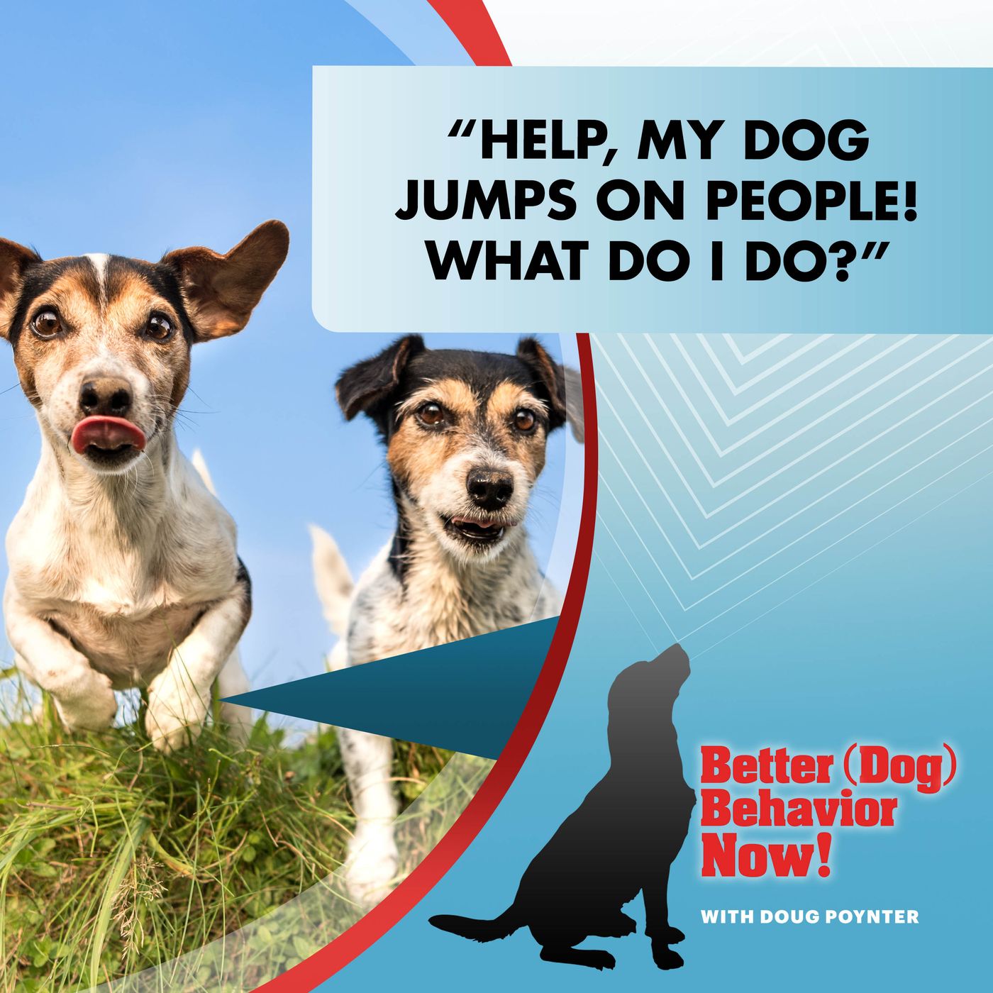 "Help, My Dog Jumps On People! What Do I Do?" episode artwork