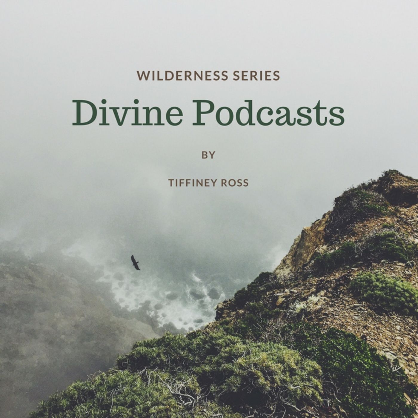 Episode 4 - Divine Podcasts