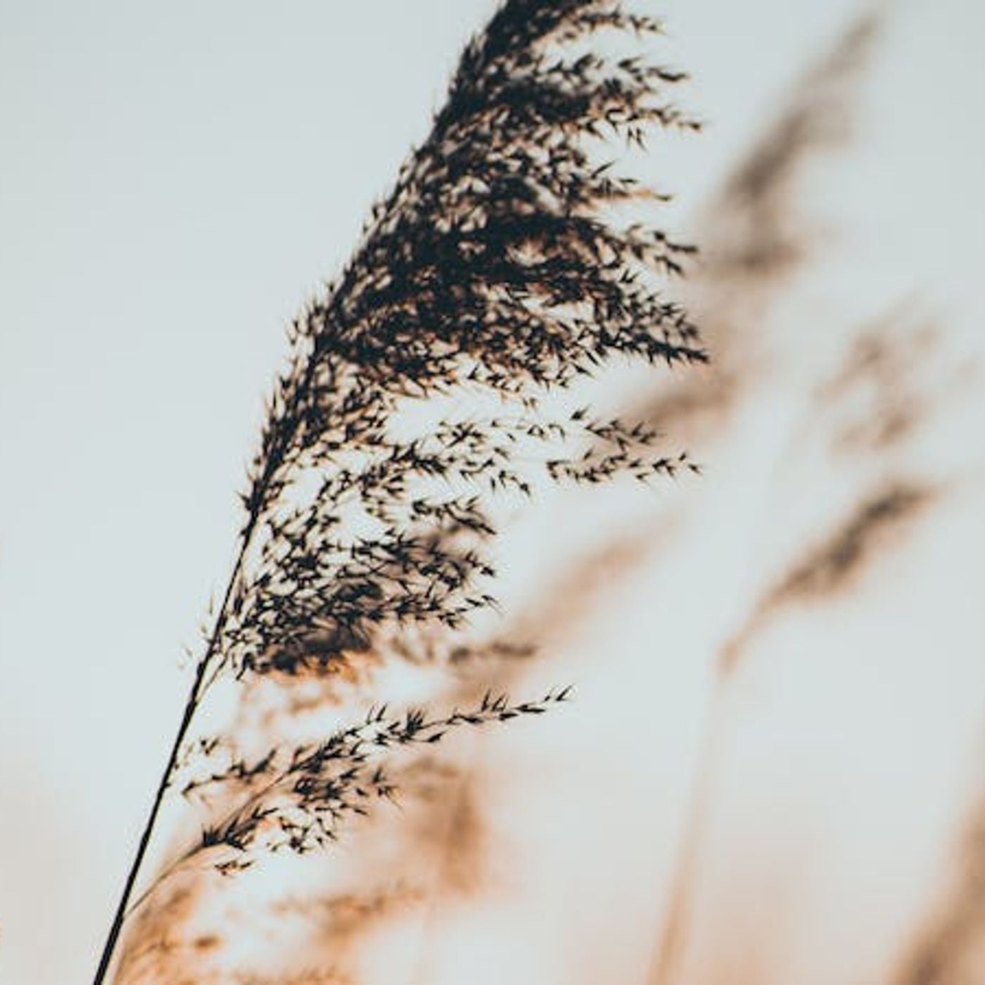 How Does Easter Change Us?