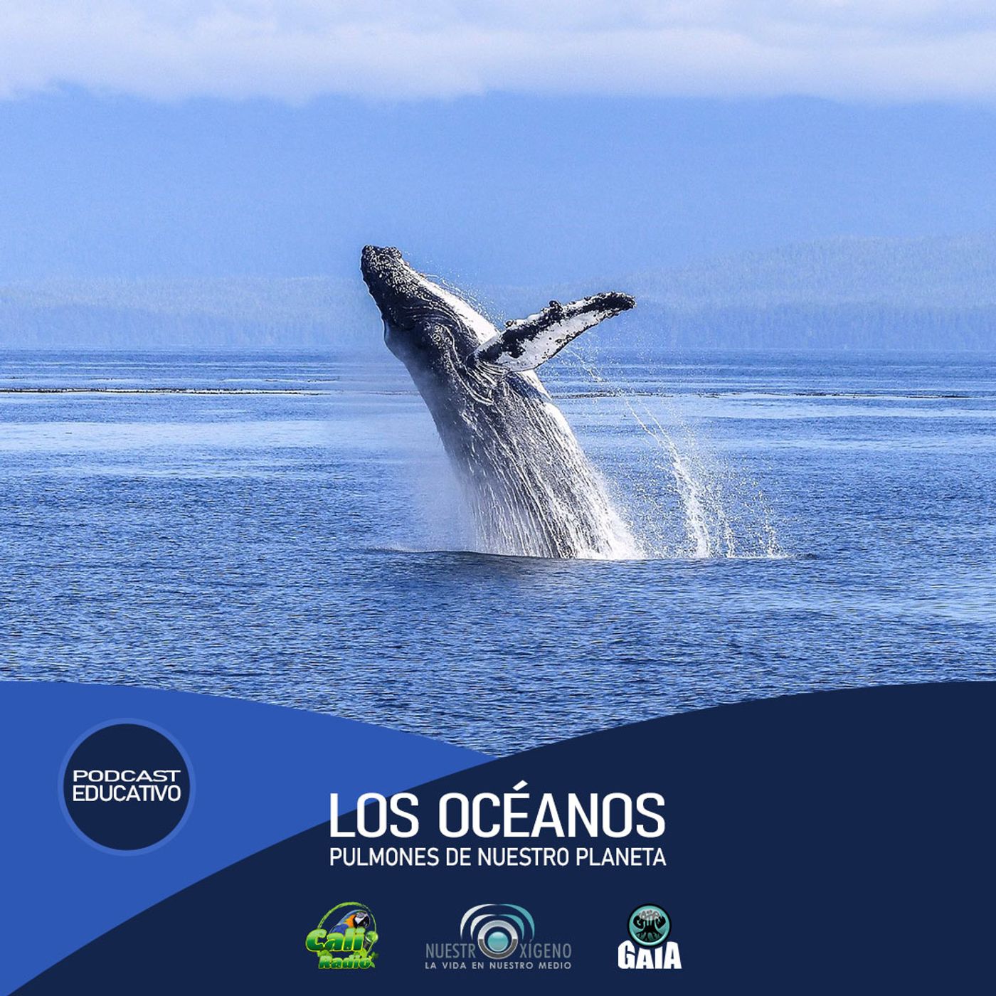 2024 Nuestro Oxígeno 02- Febrero