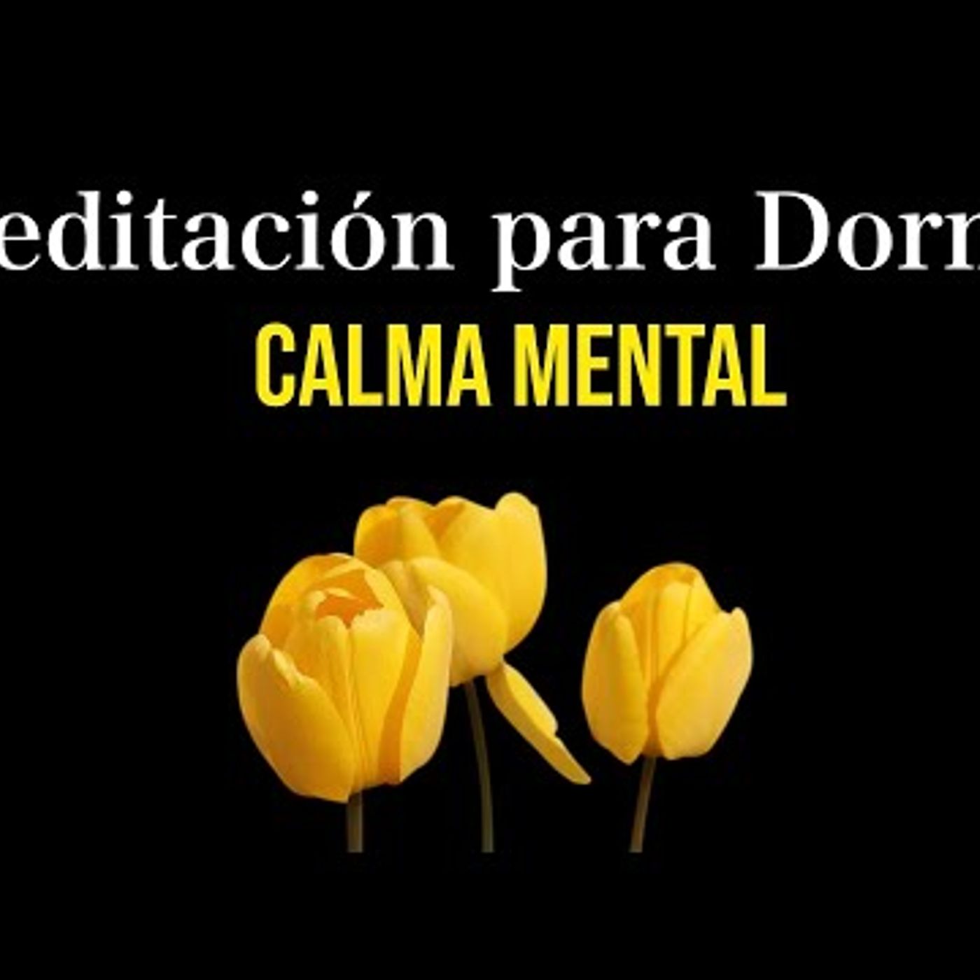 103. Meditación para dormir en la CALMA MENTAL... Funciona!