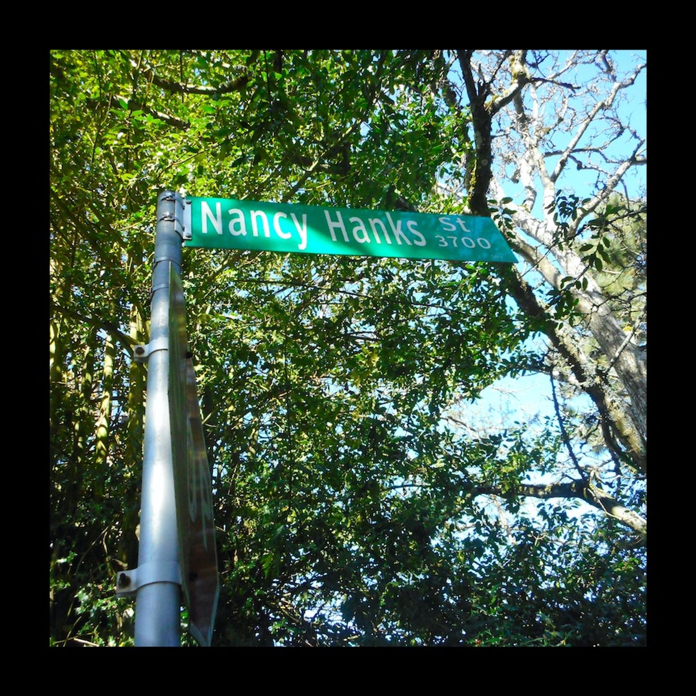 The "Nancy Hanks" Run