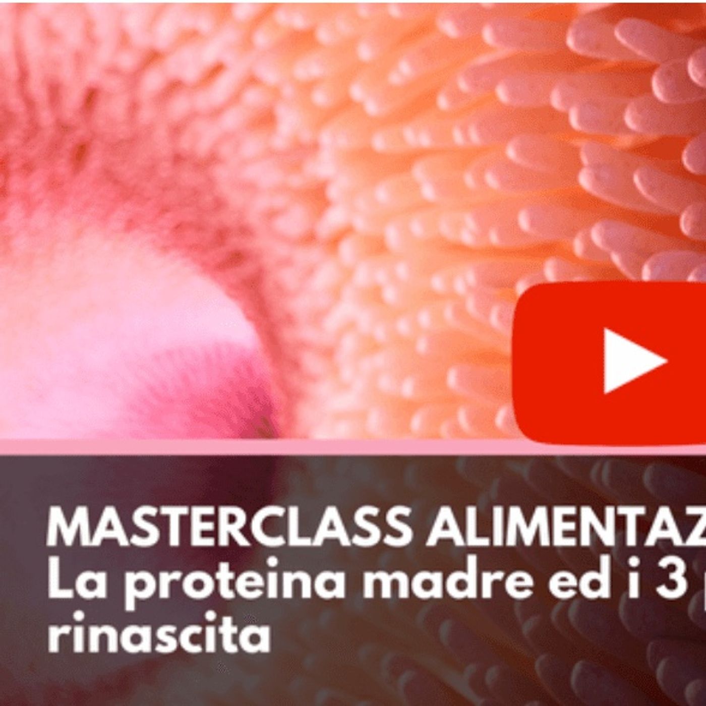 Alimentazione e Ciclismo 3 episode artwork