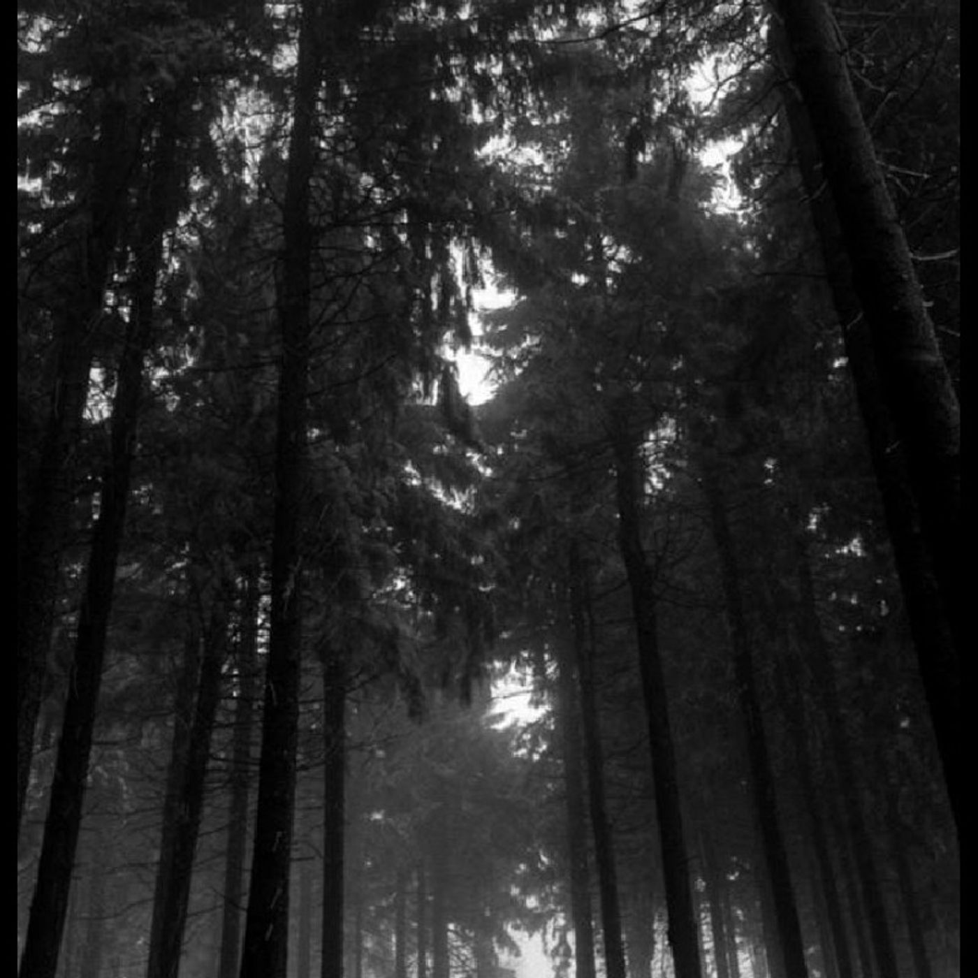 Buduleci Andrei\'s podcast