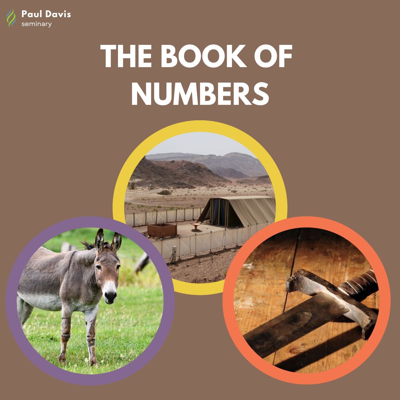 Book of Numbers - Lesson 2 - 01.17.2024 episode artwork
