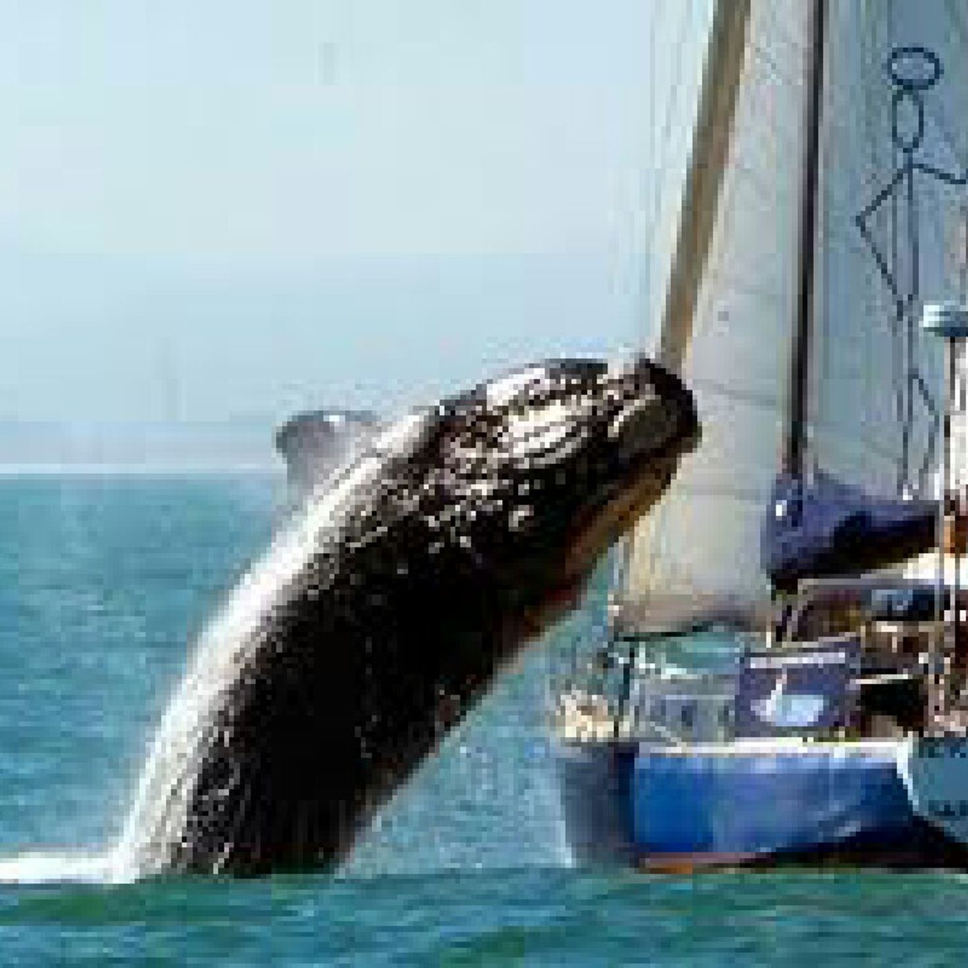 Casual Gestation Episode 2 Part 2