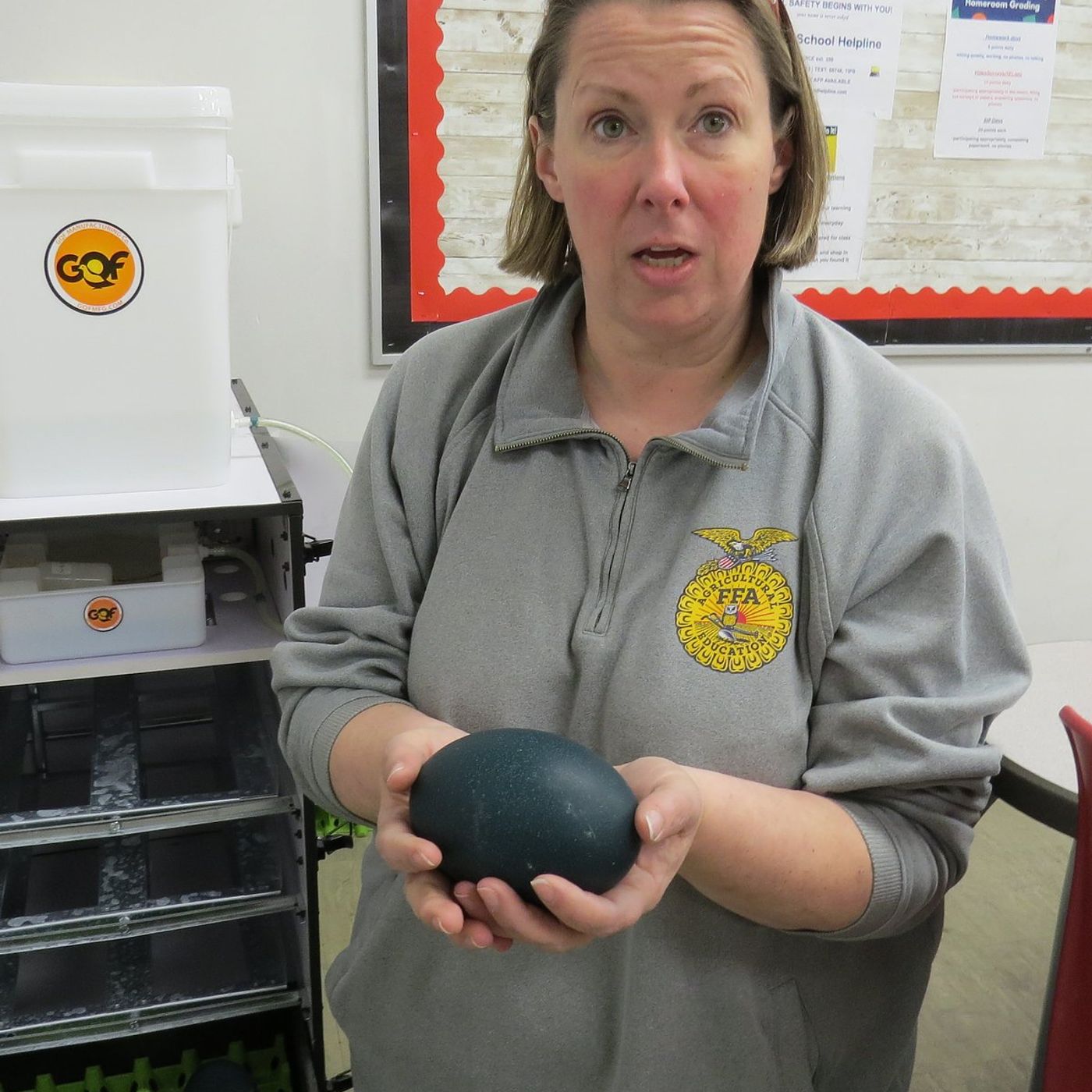 Amboy ag teacher hatching knowledge episode artwork