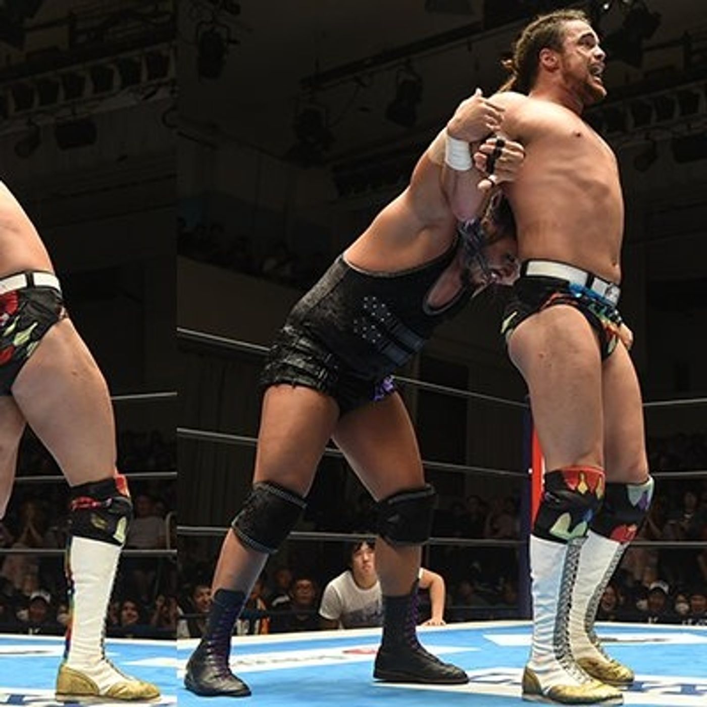 Wrestling 2 the MAX